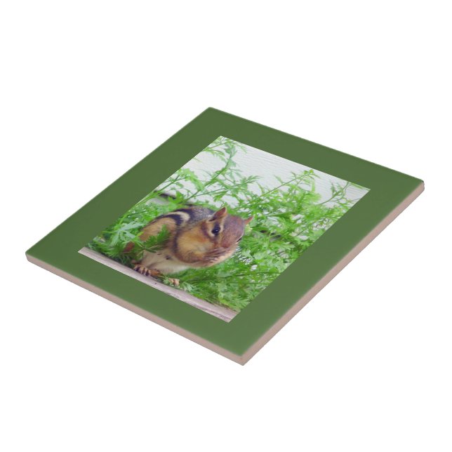 Chipmunk Tile Kakelplatta (Sidan)
