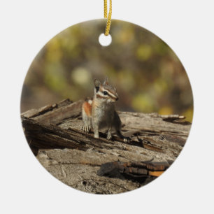 Chipmunk, vilda djur, prydnadsväxter julgransprydnad keramik