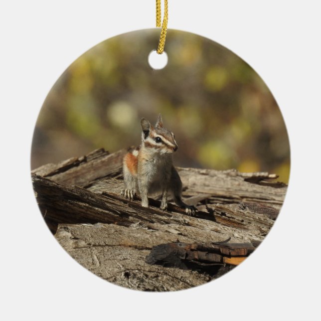 Chipmunk, vilda djur, prydnadsväxter julgransprydnad keramik (Framsidan)