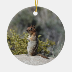 Chipmunk, vilt, julgransprydnad keramik