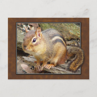 Chipmunk-vykort Vykort
