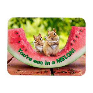 Chipmunkar Eating Watermelon Magnet