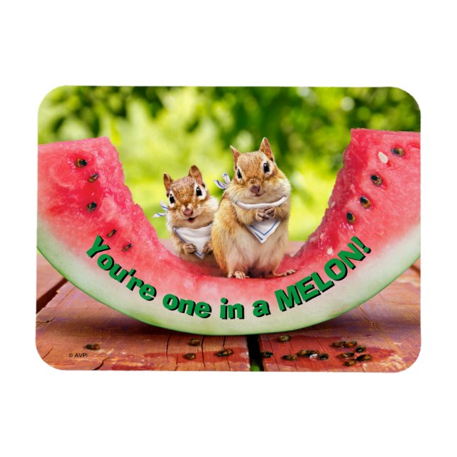 Chipmunkar Eating Watermelon Magnet (Horisontell)