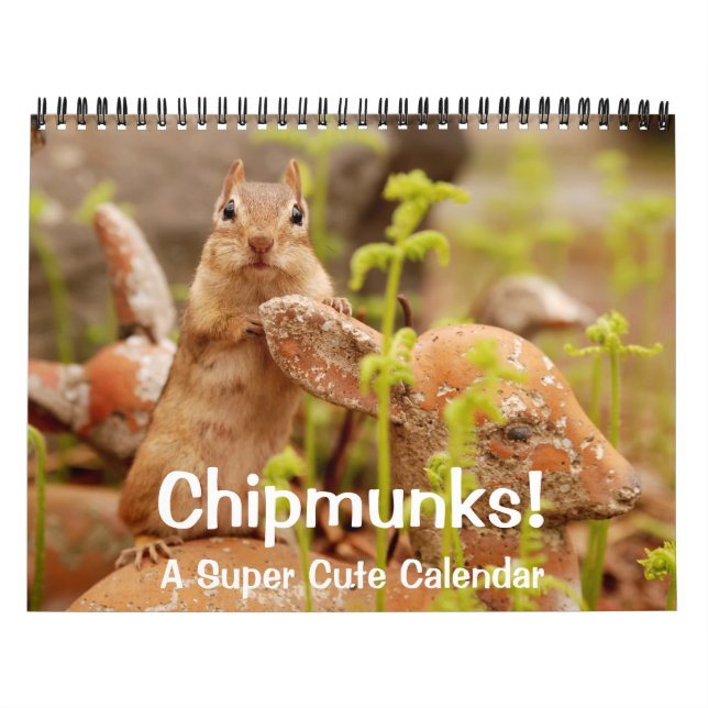 Chipmunkar! En kalender för Toppens cute-vägg (Omslag)