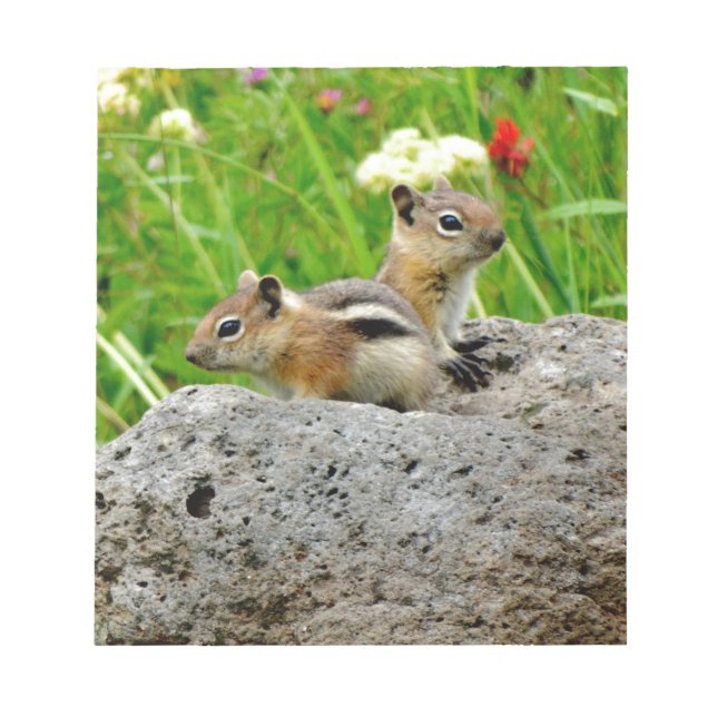 Chipmunkar och vilda blommor anteckningsblock (Framsida)