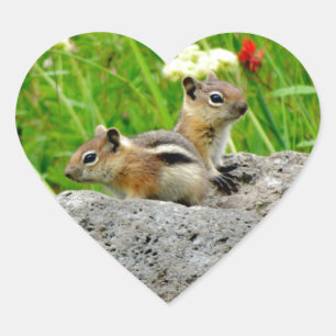 Chipmunkar och vilda blommor hjärtformat klistermärke