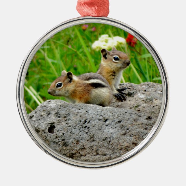 Chipmunkar och vilda blommor julgransprydnad metall (Framsidan)