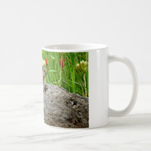Chipmunkar och vilda blommor kaffemugg
