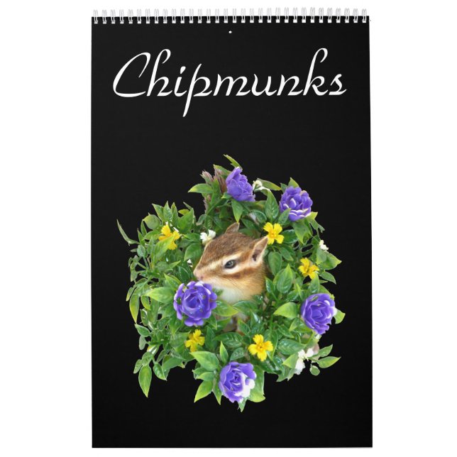 chipmunk's calendar  (All countries) Kalender (Omslag)