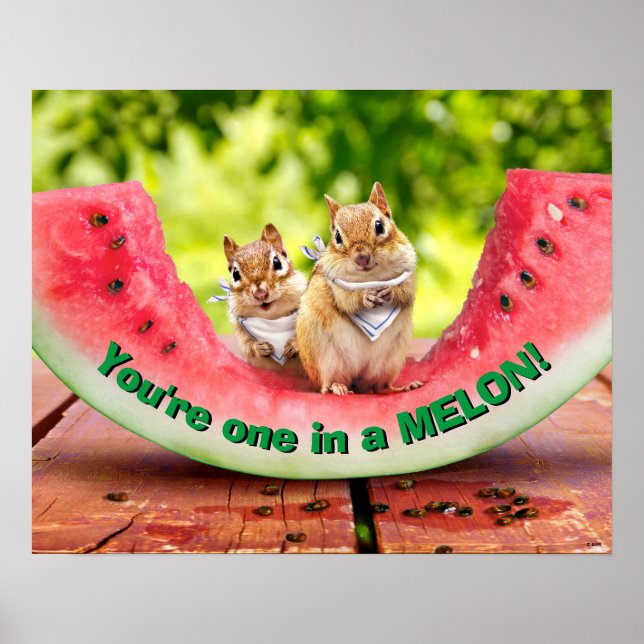 Chipmunks Eating Watermelon Poster (Framsidan)