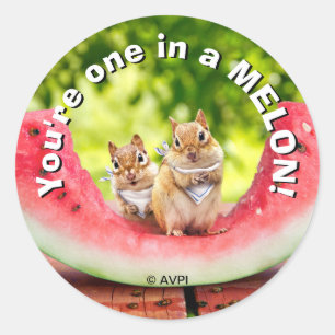 Chipmunks Eating Watermelon Runt Klistermärke
