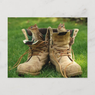 Chipmunks in Boots Vykort