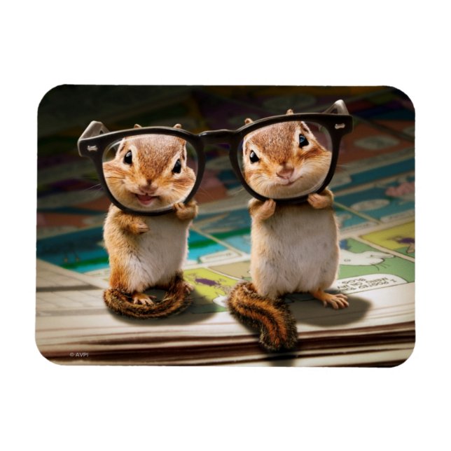 Chipmunks in Reading Glasses Magnet (Horisontell)
