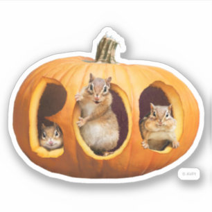 Chipmunks Inside Boo Jack-o-Lantern Klistermärken