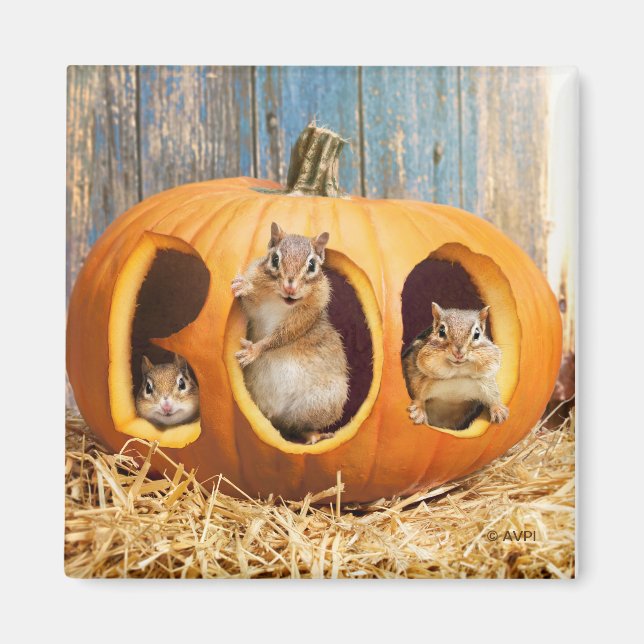 Chipmunks Inside Boo Jack-o-Lantern Magnet (Framsidan)