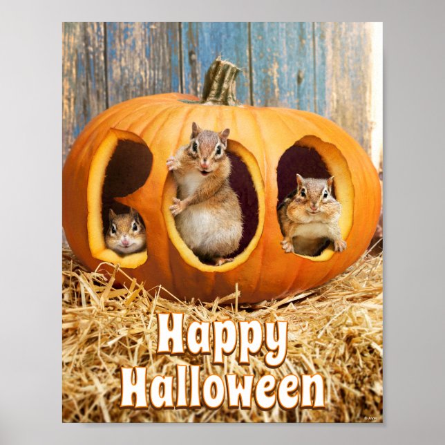 Chipmunks Inside Boo Jack-o-Lantern Poster (Framsidan)