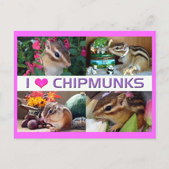 Chipmunks pohto vykort (Framsida)
