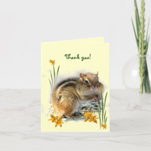Chipmunks Tack Kort