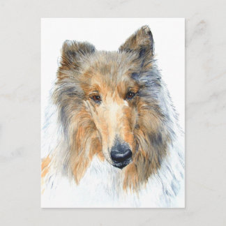 Chipper Collie Postcard Vykort