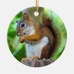 Chipper Red Squirrel Julgransprydnad Keramik
