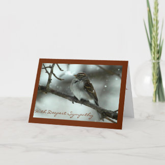 Chipping Sparrow Sympathy Card Kort