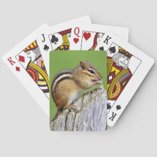Chippy Chipmucnk som leker kort Casinokort