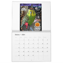 Chipy Calendar 2024