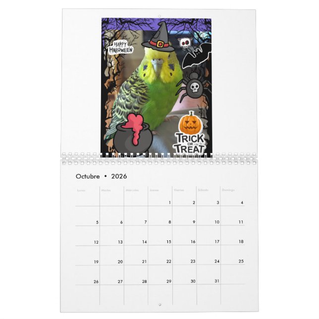 Chipy Calendar 2024 Kalender (Oct 2026)