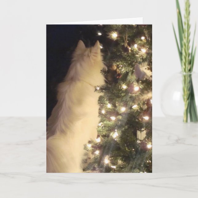 Chiristmas kort (Framsida)