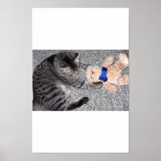 ’Chiro-Cat’ Poster