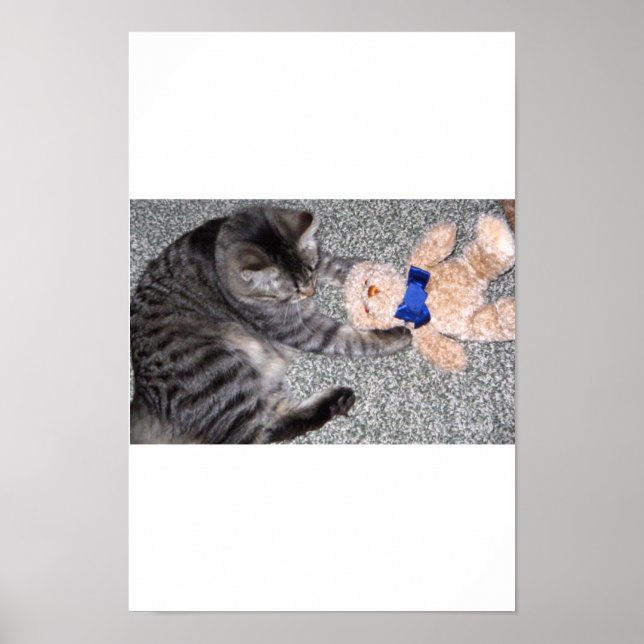 ’Chiro-Cat’ Poster (Framsidan)