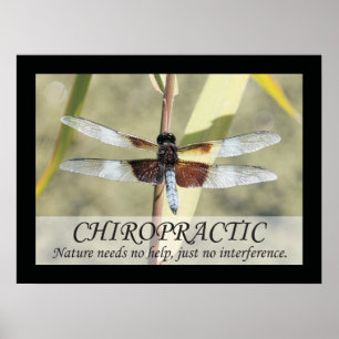 Chiropractic citerar och ordnaturaffischen poster