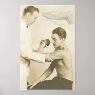 Chiropractic knuffar examenvintagetrycket poster