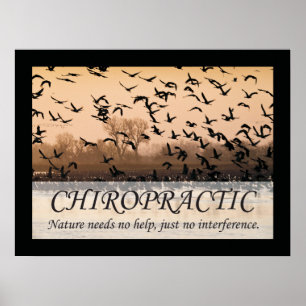 Chiropracticcitationstecken- & ordnatur poster