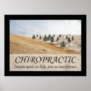 Chiropracticcitationstecken- & ordnatur poster