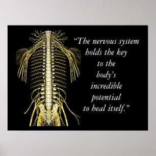 Chiropracticcitationstecken- & ordnervsystem poster