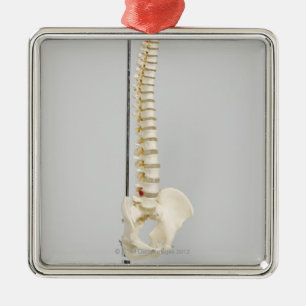 Chiropracticskelett Julgransprydnad Metall
