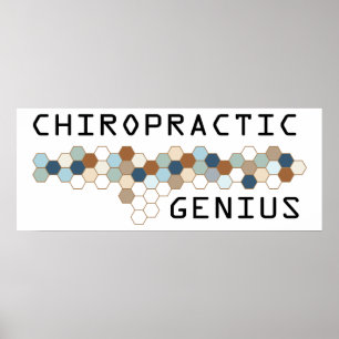 Chiropracticsnille Poster