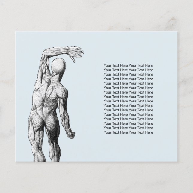 Chiropractor massage Behandling Chiropraktik Anato Flygblad (Framsidan)