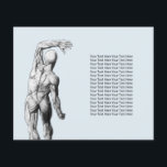 Chiropractor massage Behandling Chiropraktik Anato Flygblad<br><div class="desc">Chiropraktic Chiropractor massage Spa Therapist Anatomy Flyers.</div>