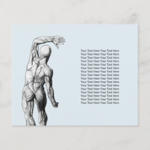 Chiropractor massage Behandling Chiropraktik Anato Flygblad