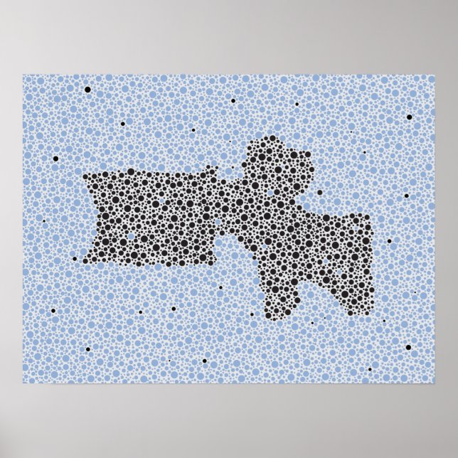 Chiropraktic Anatomy Artwork Lumbar Vertebrae Poster (Framsidan)