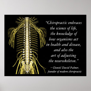 Chiropraktik Quotes & Ord DD Palmer Poster