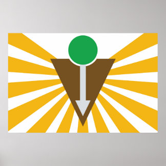 Chiropraktisk Flagga Poster