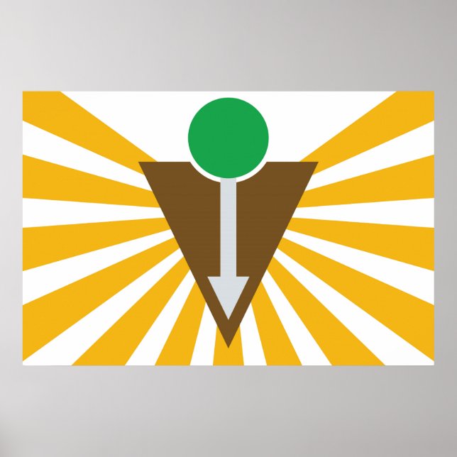 Chiropraktisk Flagga Poster (Framsidan)