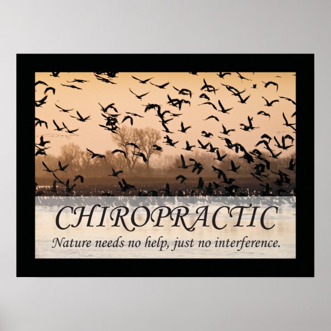 Chiropraktiska citat och Ord Nature Poster (Framsidan)