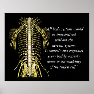 Chiropraktiska citat och Ord Nerves Poster