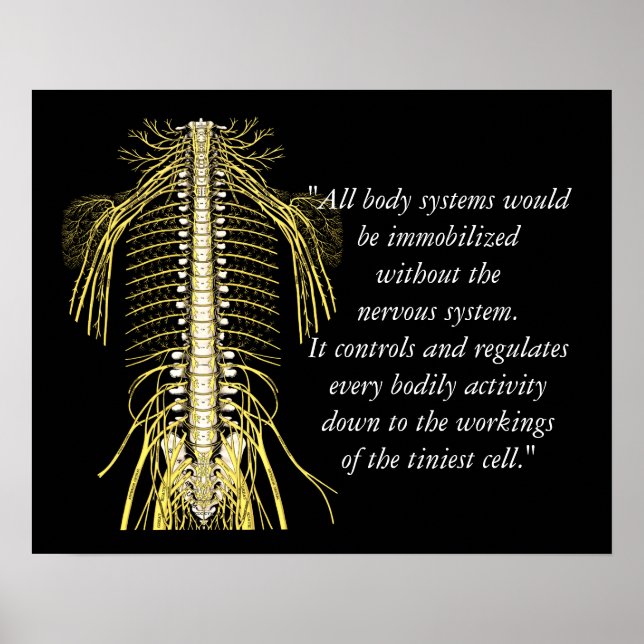 Chiropraktiska citat och Ord Nerves Poster (Framsidan)