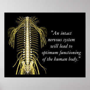 Chiropraktiska citat och Ord Nerves Poster
