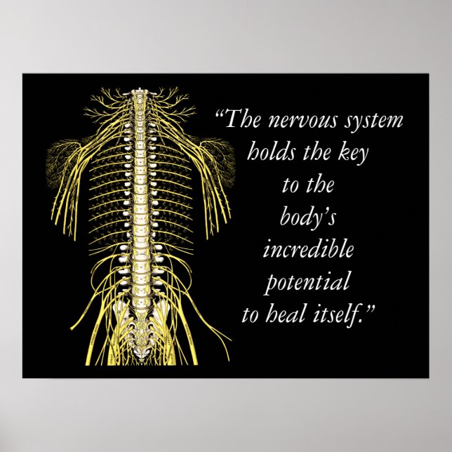 Chiropraktiska citattecken och Ord Nervous System Poster (Framsidan)